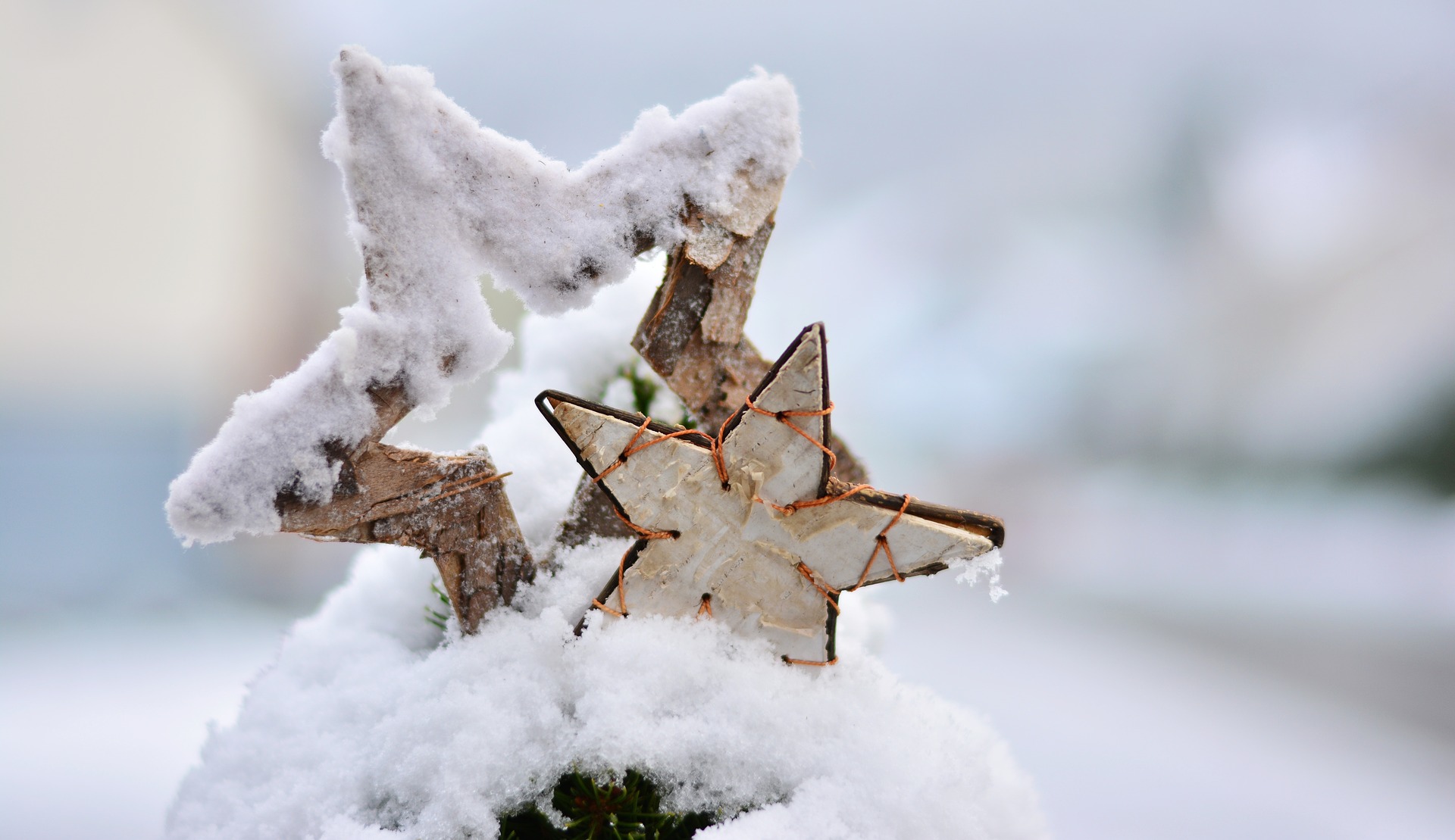 Christmas Stars